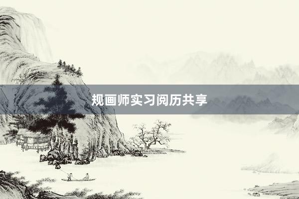规画师实习阅历共享