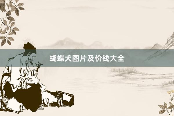 蝴蝶犬图片及价钱大全