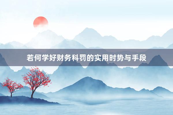 若何学好财务科罚的实用时势与手段